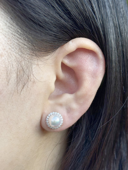 Platinum Akoya Pearl Studs