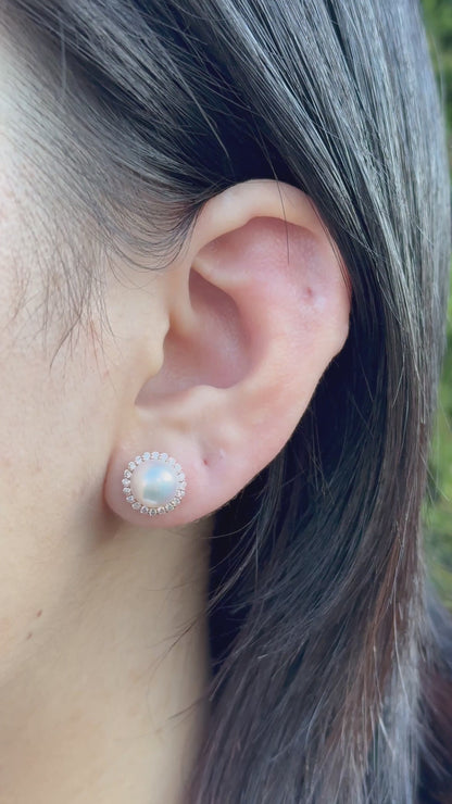 Rose Gold Akoya Pearl Studs