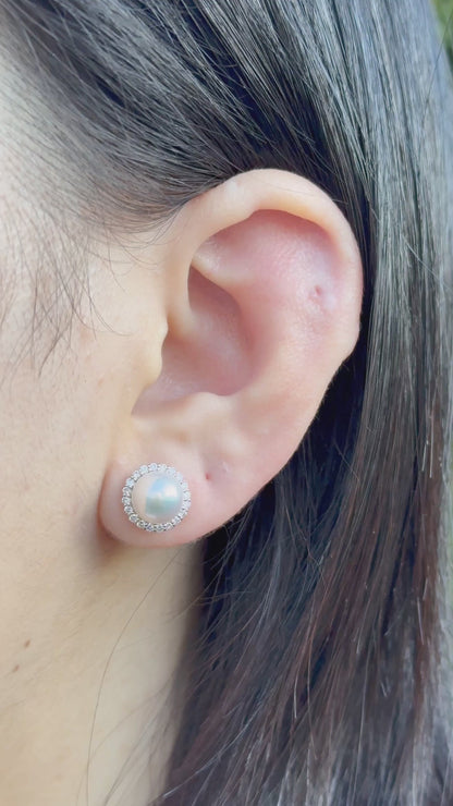 Platinum Akoya Pearl Studs