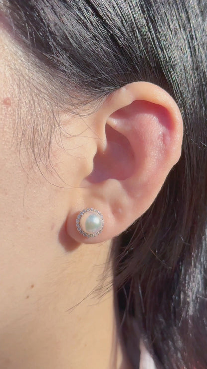 Yellow Gold Akoya Pearl Studs